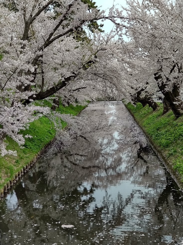 f:id:hirotaka72:20210427181524j:plain
