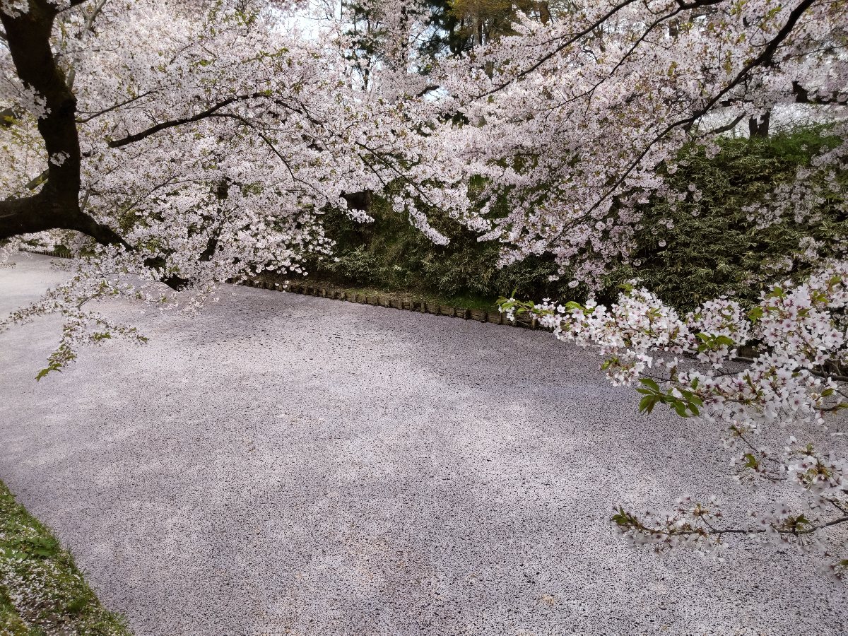 f:id:hirotaka72:20210427200127j:plain