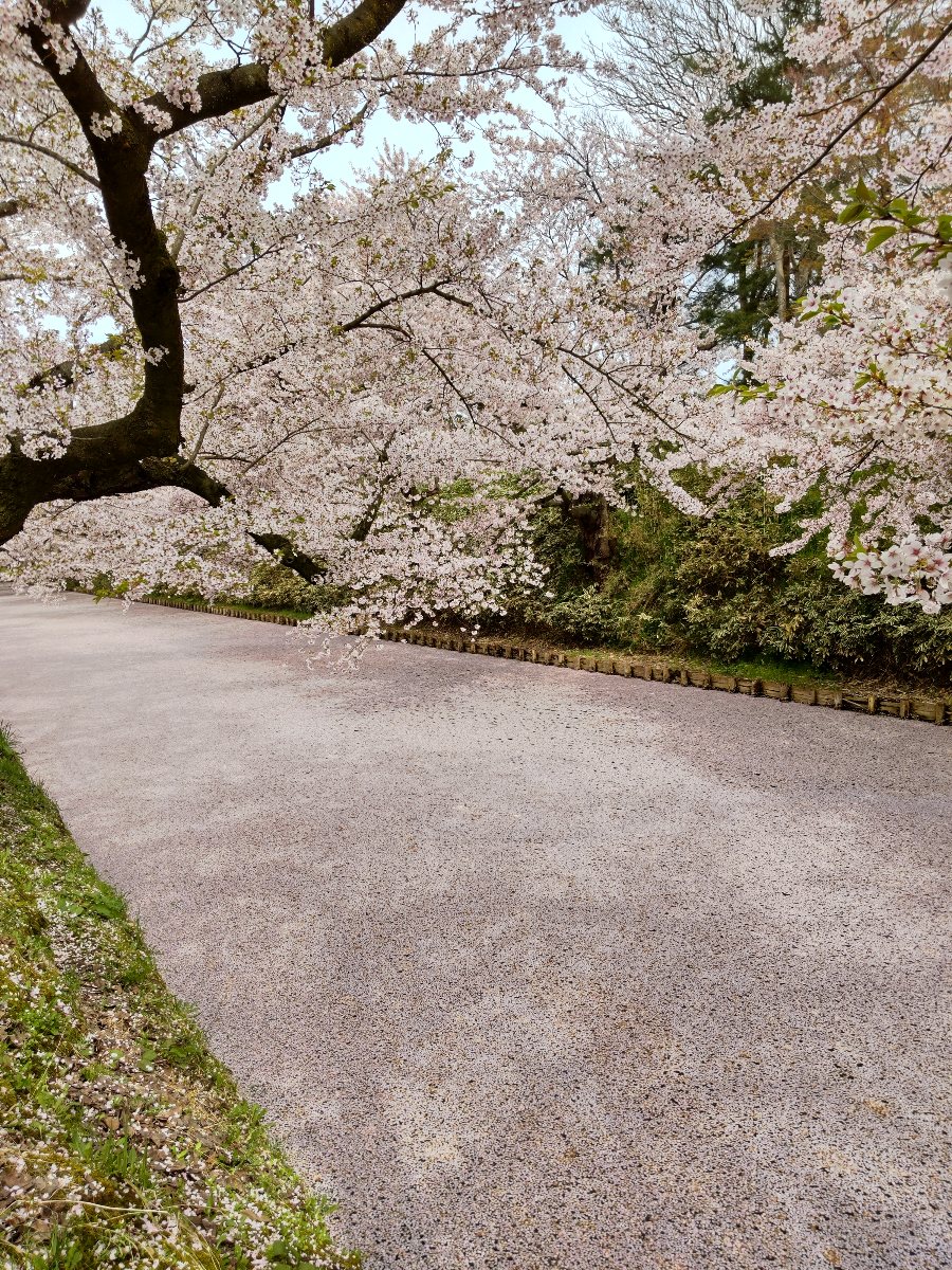 f:id:hirotaka72:20210427200149j:plain