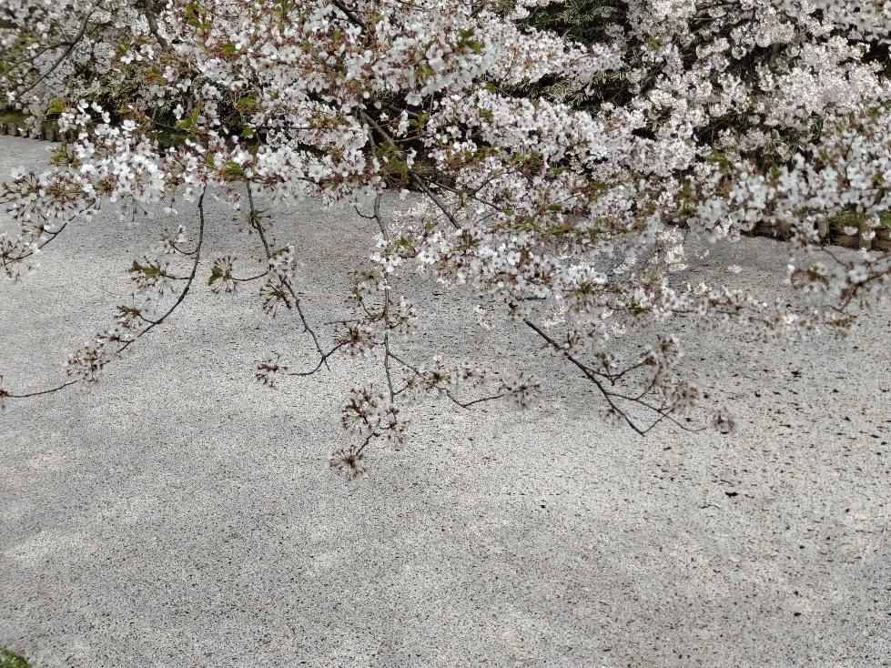 f:id:hirotaka72:20210427200231j:plain