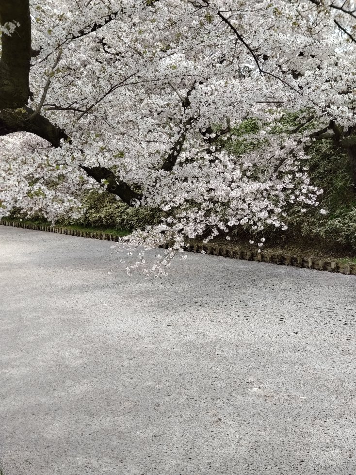 f:id:hirotaka72:20210427200259j:plain