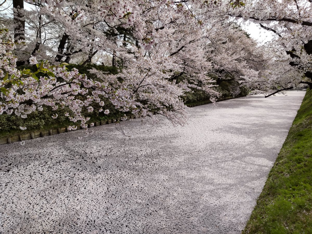 f:id:hirotaka72:20210427200316j:plain