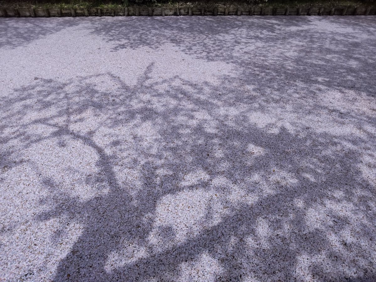 f:id:hirotaka72:20210427205901j:plain