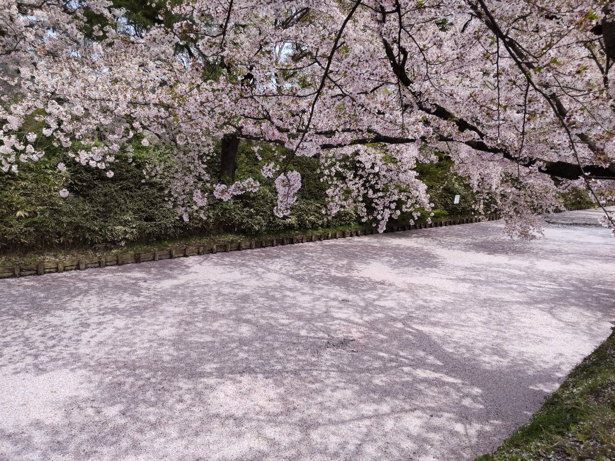 f:id:hirotaka72:20210427210043j:plain
