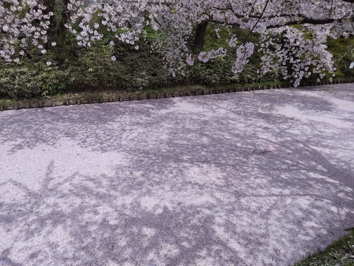f:id:hirotaka72:20210427210110j:plain