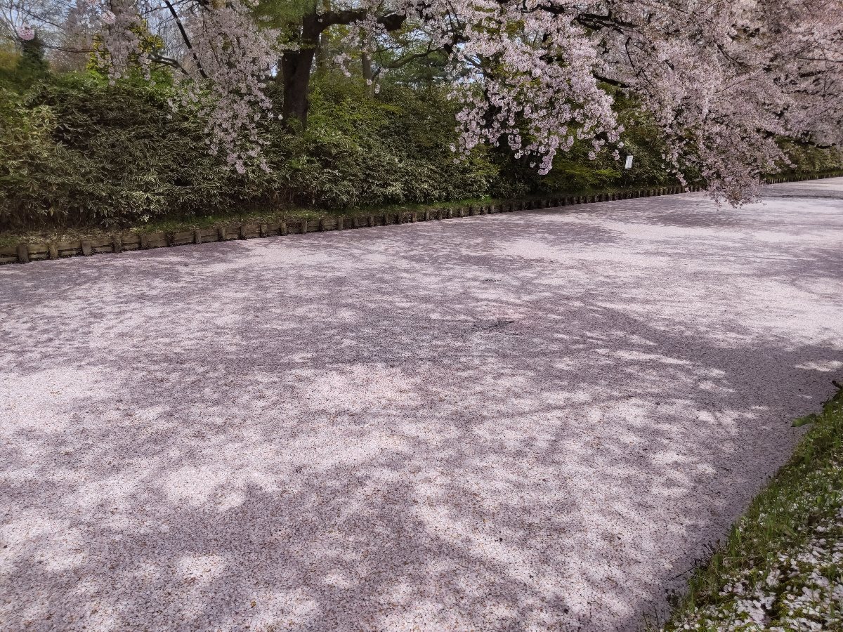 f:id:hirotaka72:20210427210144j:plain