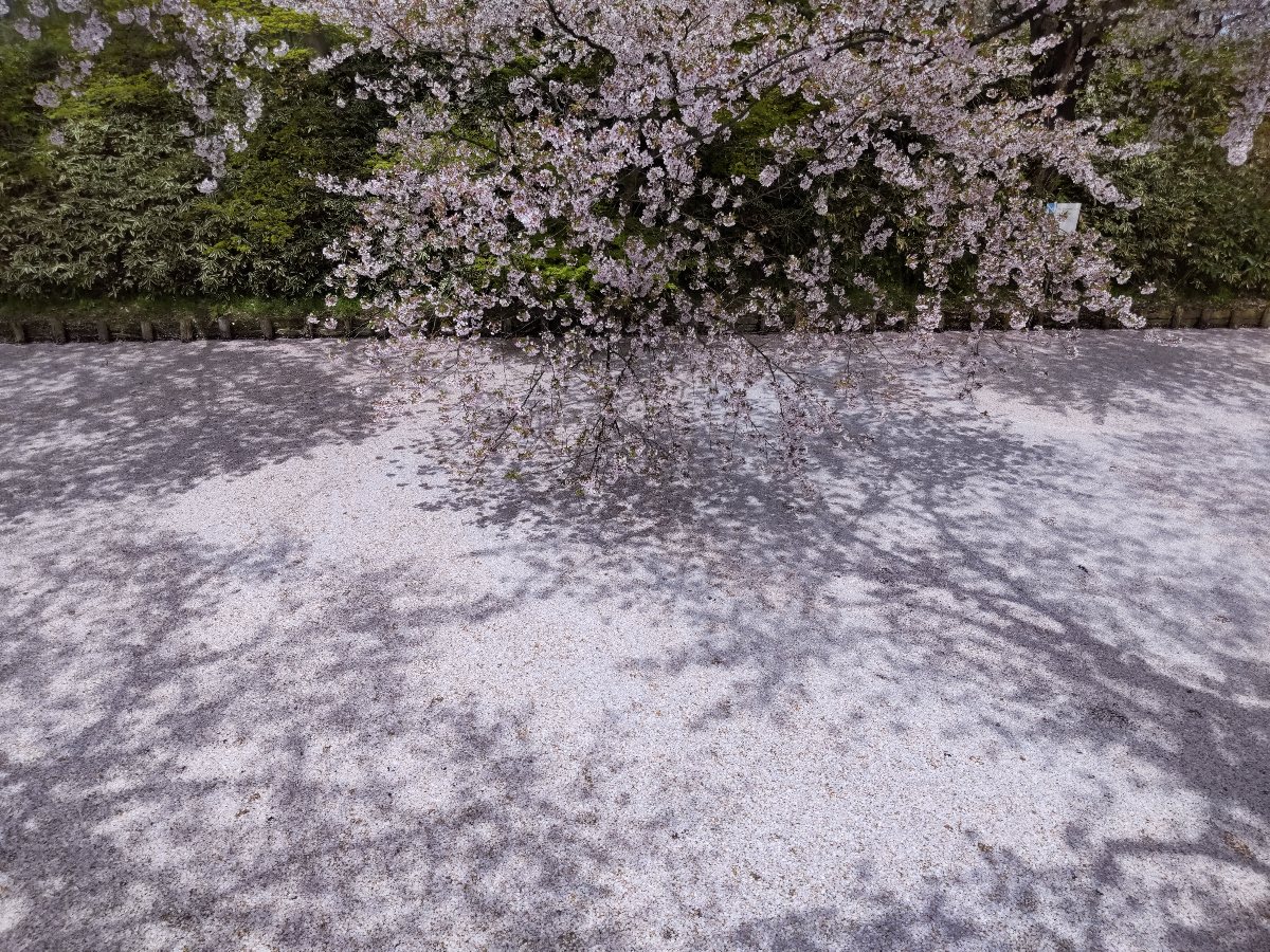 f:id:hirotaka72:20210427213745j:plain