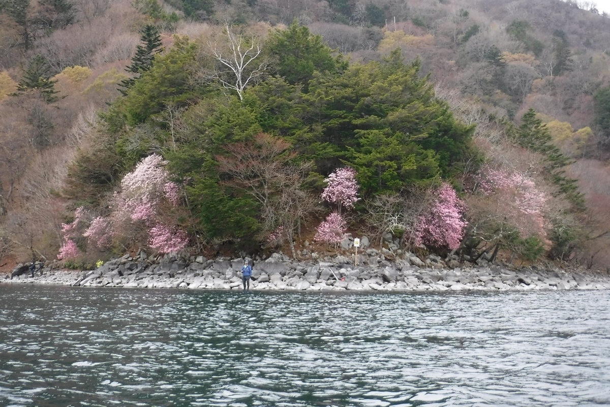 f:id:hirotaka72:20210505084508j:plain