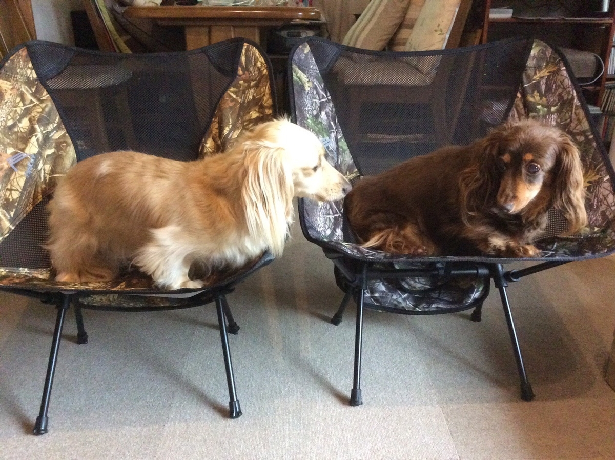 f:id:hirotaka72:20210808072256j:plain