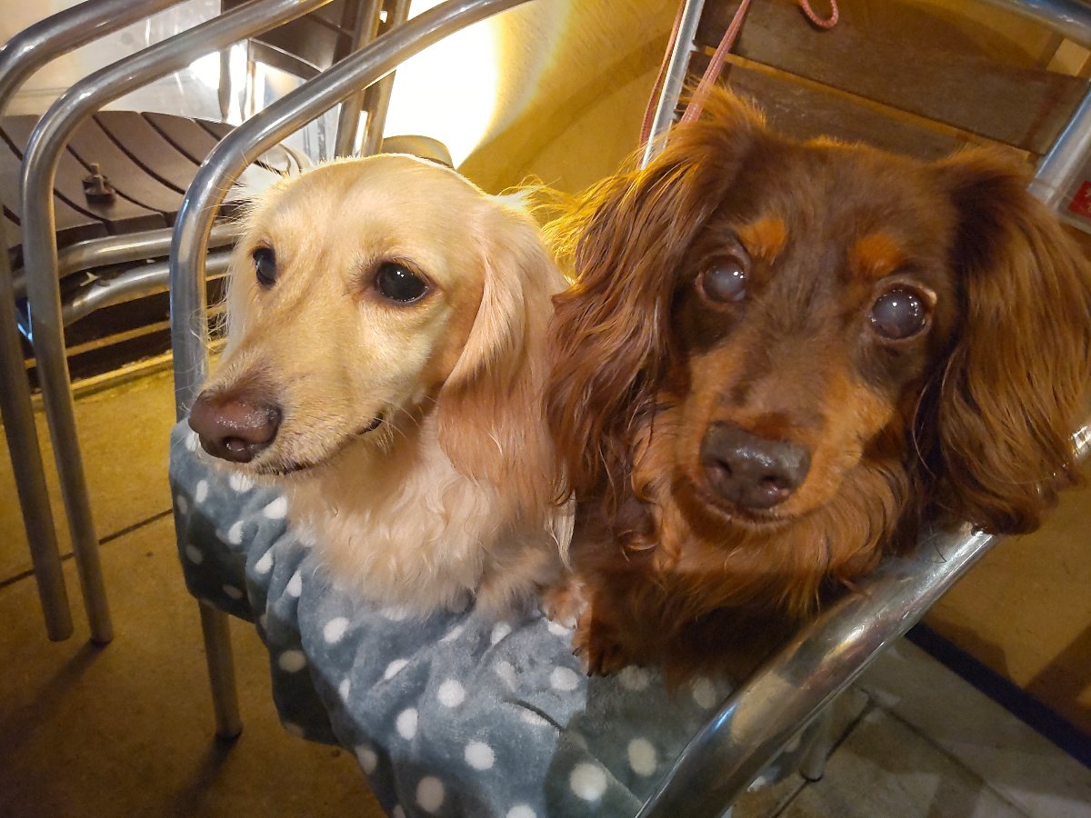 f:id:hirotaka72:20210916203015j:plain