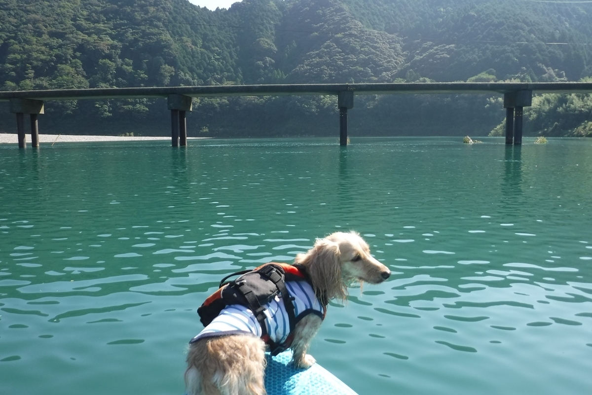 f:id:hirotaka72:20210923092608j:plain