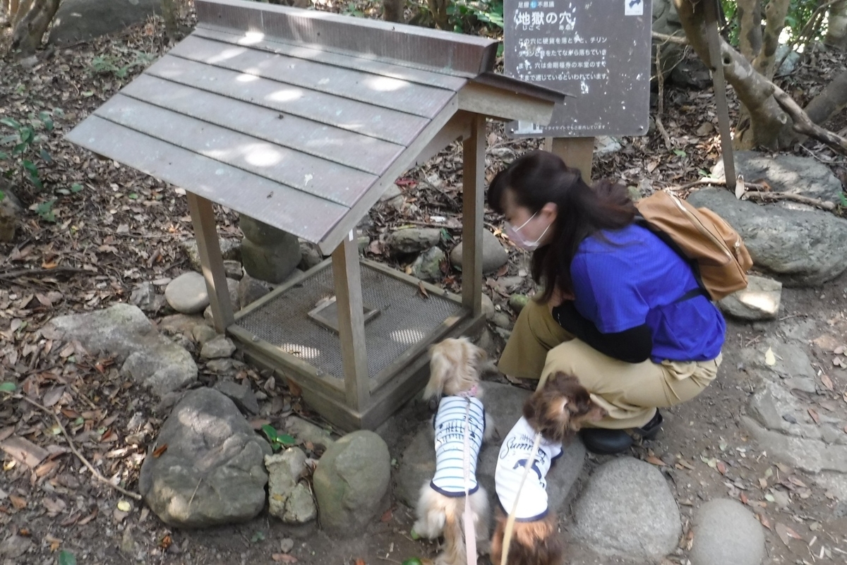 f:id:hirotaka72:20210923151202j:plain