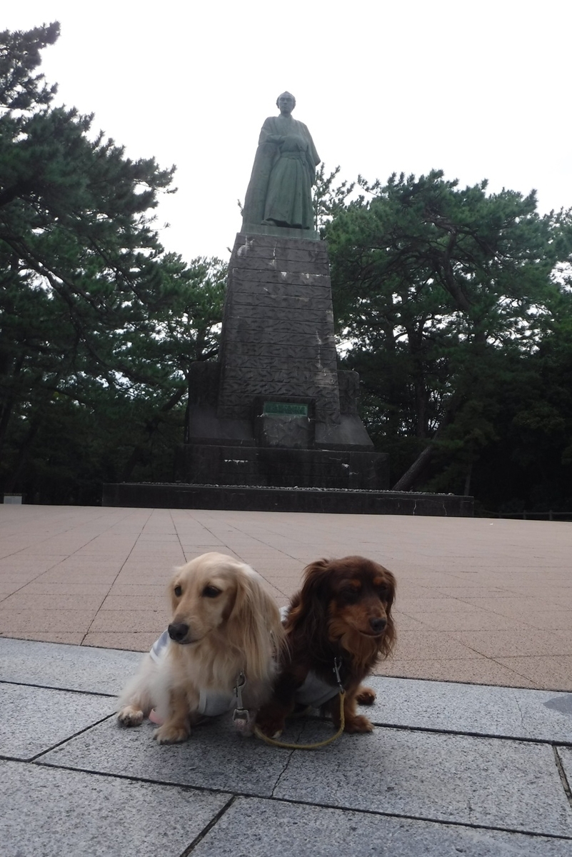 f:id:hirotaka72:20210924170305j:plain