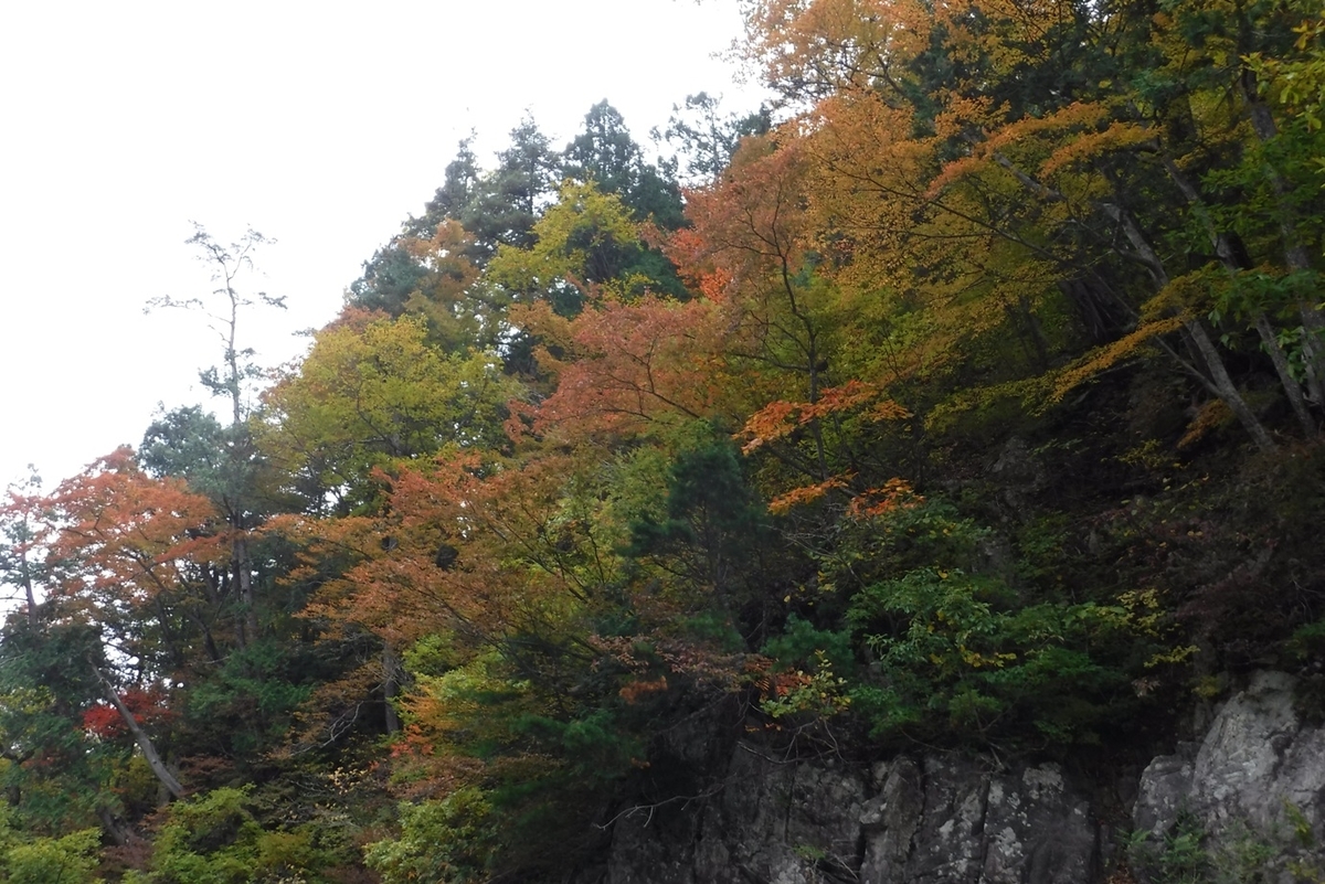 f:id:hirotaka72:20211024112111j:plain