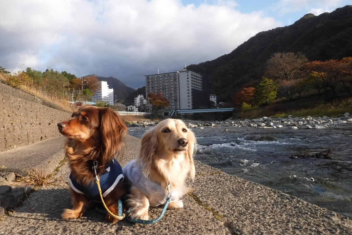 f:id:hirotaka72:20211103072638j:plain