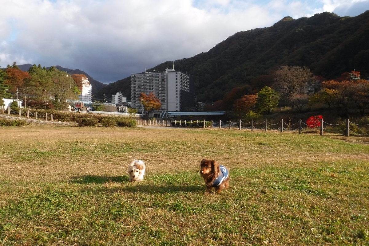 f:id:hirotaka72:20211103072742j:plain