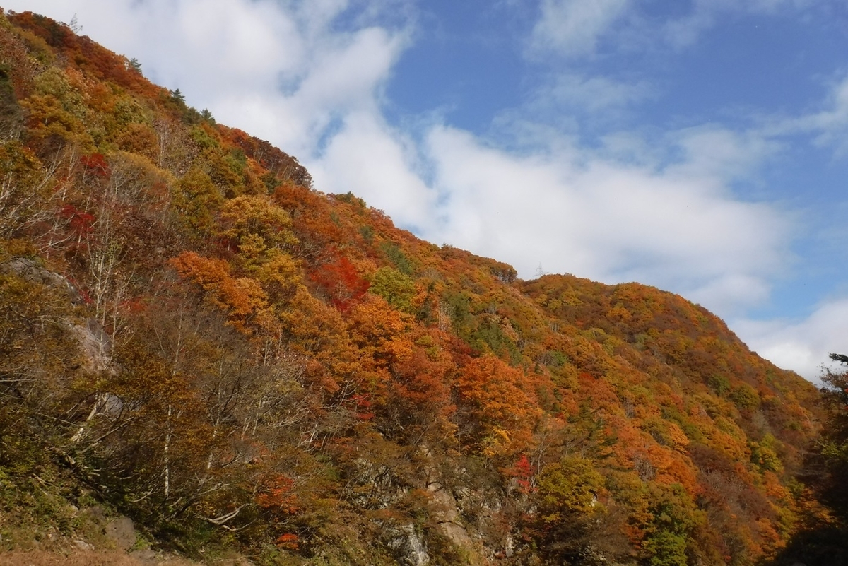 f:id:hirotaka72:20211103094449j:plain