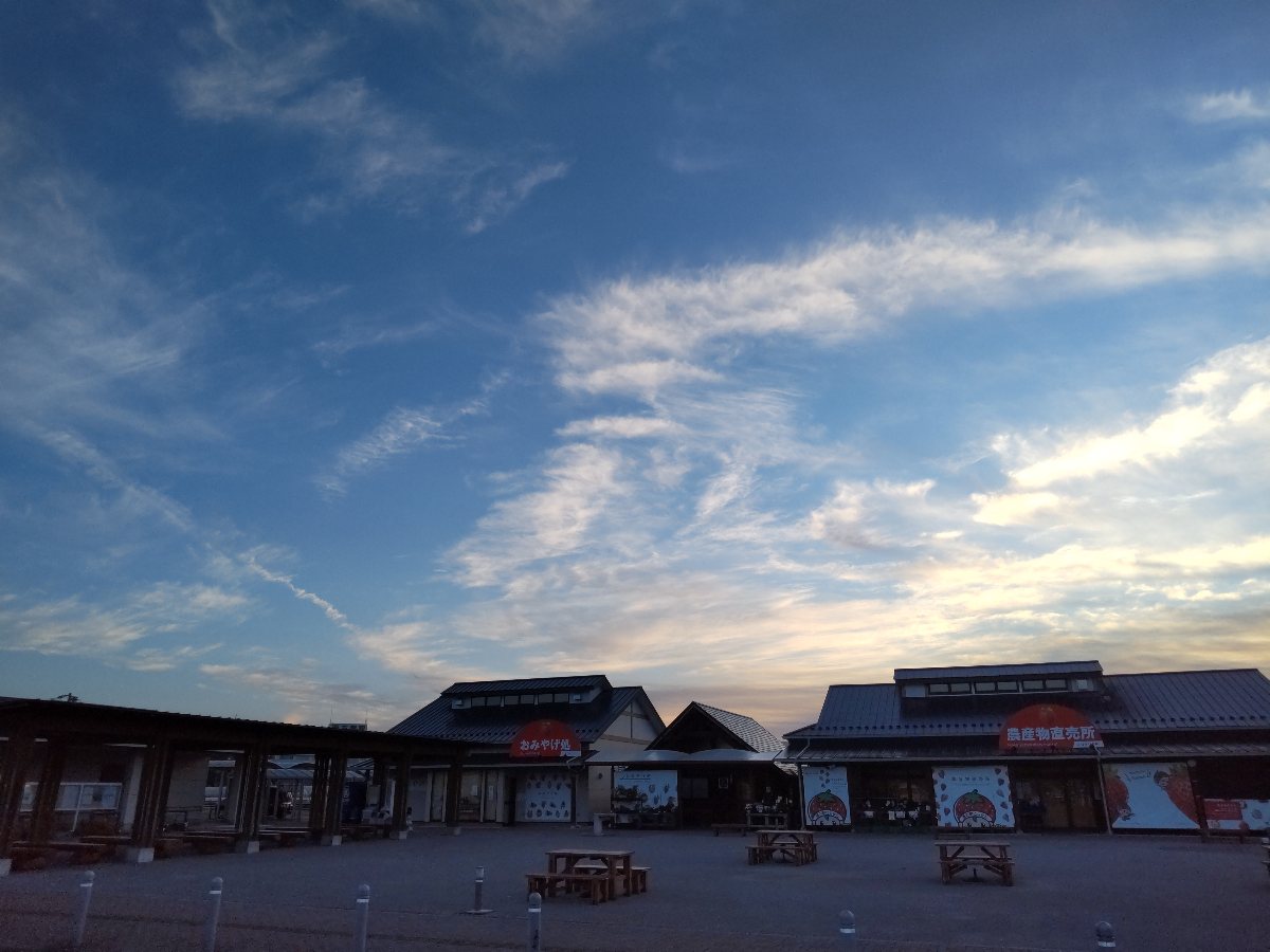 f:id:hirotaka72:20211108075630j:plain