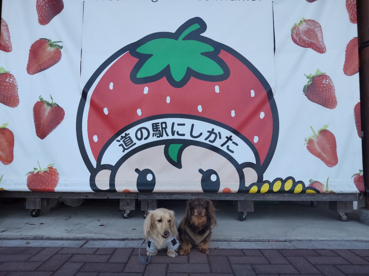 f:id:hirotaka72:20211108075700j:plain