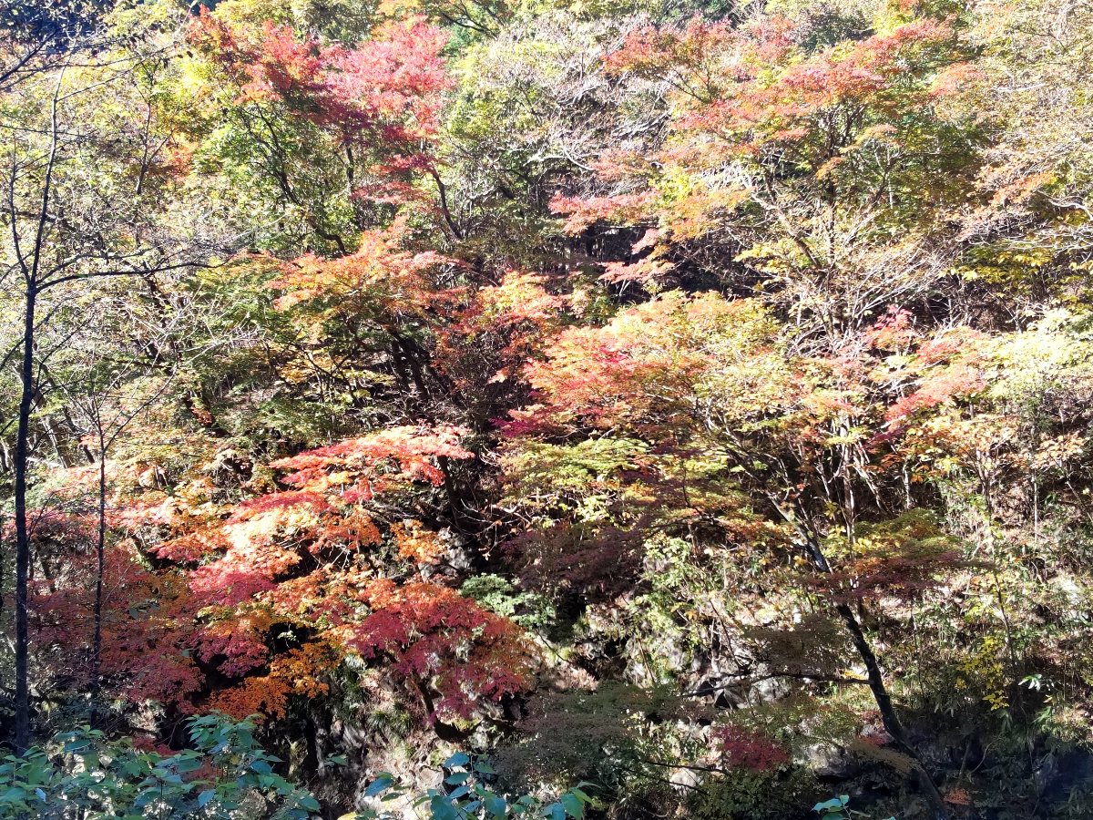 f:id:hirotaka72:20211108212648j:plain