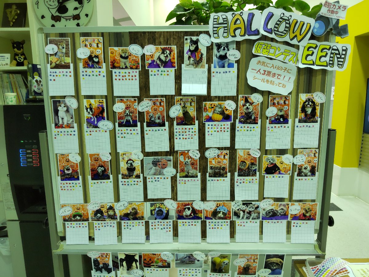 f:id:hirotaka72:20211111204936j:plain