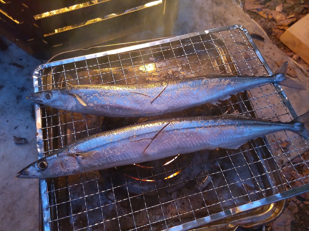 f:id:hirotaka72:20211115191746j:plain