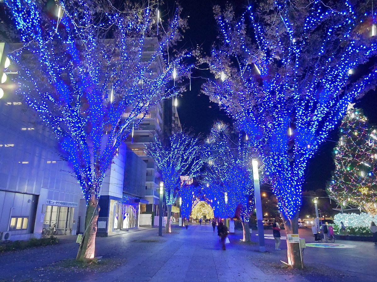 f:id:hirotaka72:20211116080042j:plain