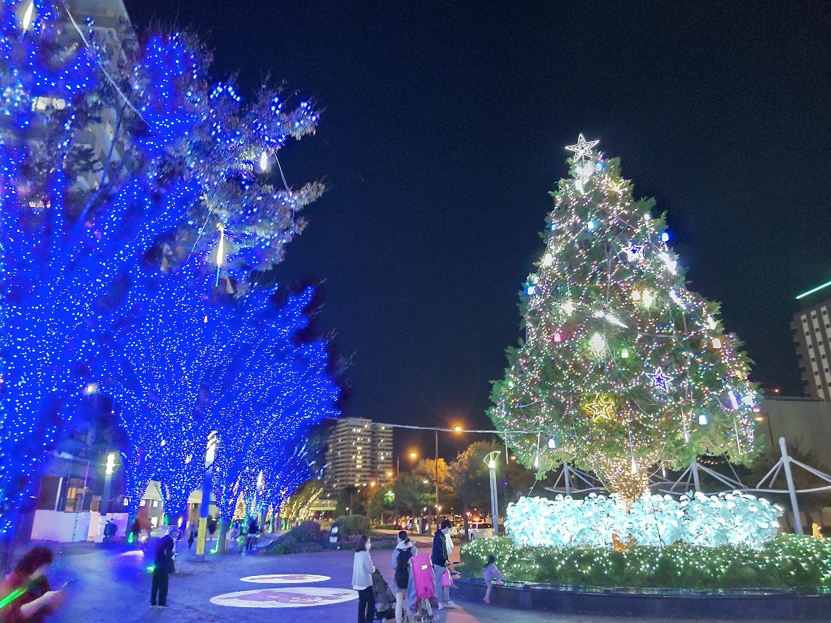 f:id:hirotaka72:20211116080056j:plain
