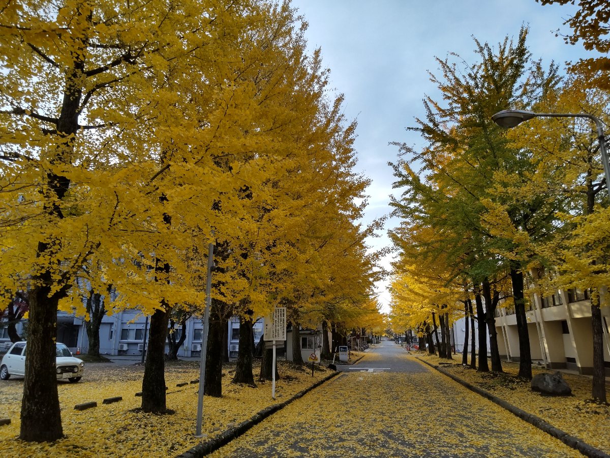 f:id:hirotaka72:20211124214149j:plain