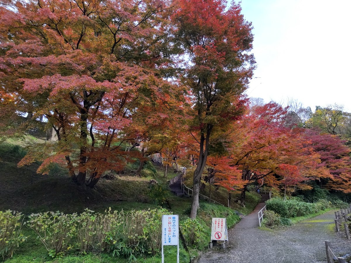 f:id:hirotaka72:20211124215801j:plain
