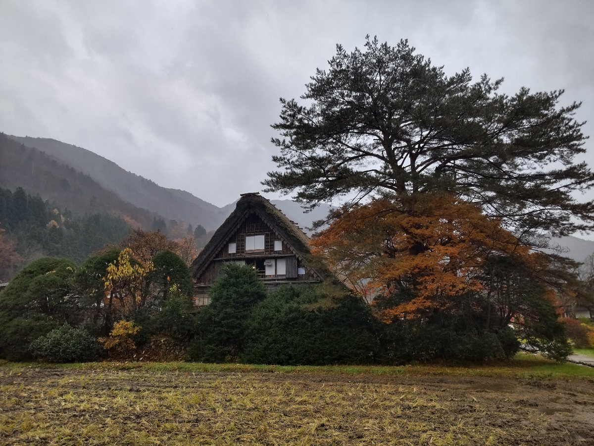 f:id:hirotaka72:20211124232438j:plain