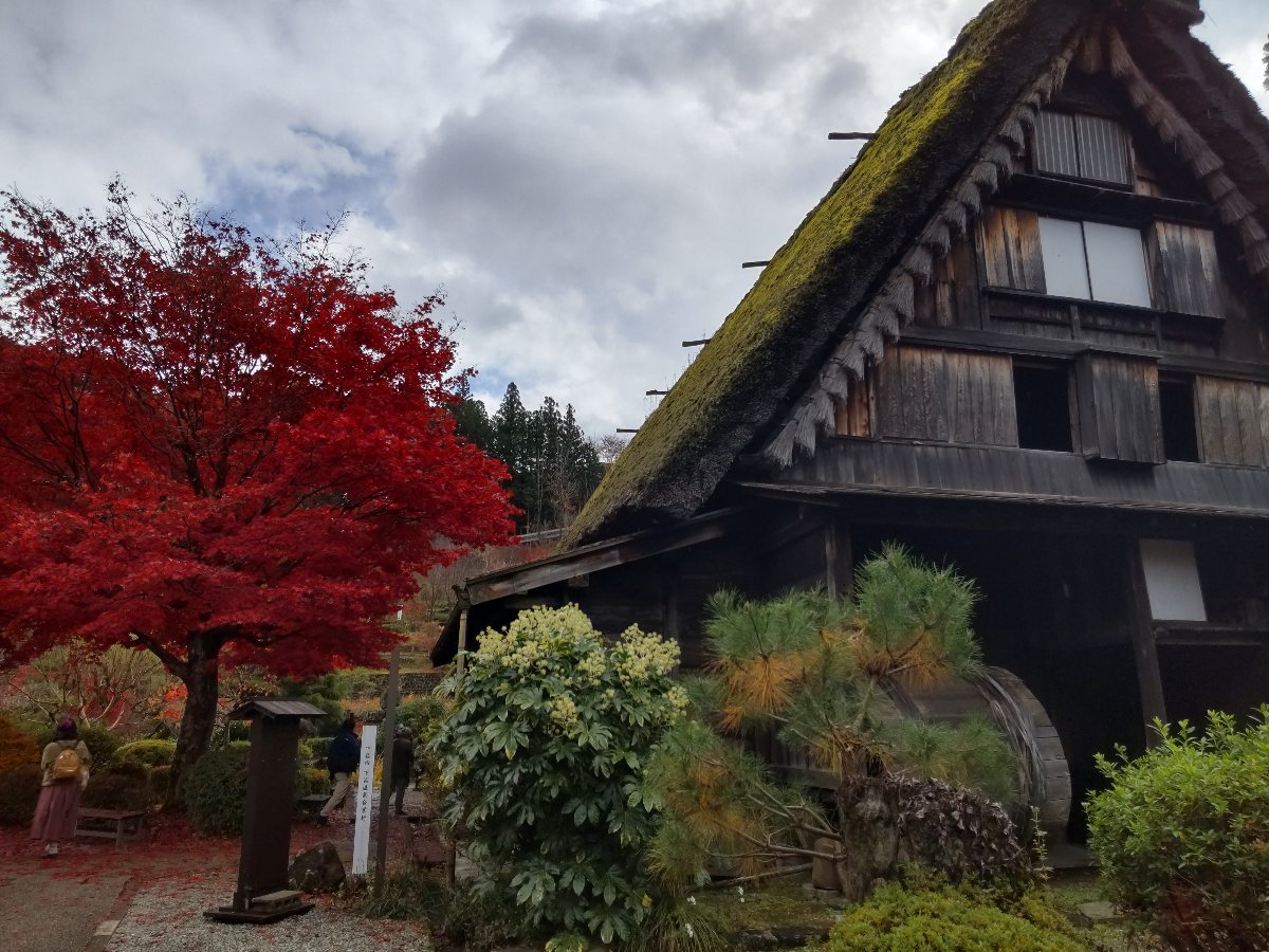 f:id:hirotaka72:20211125083628j:plain