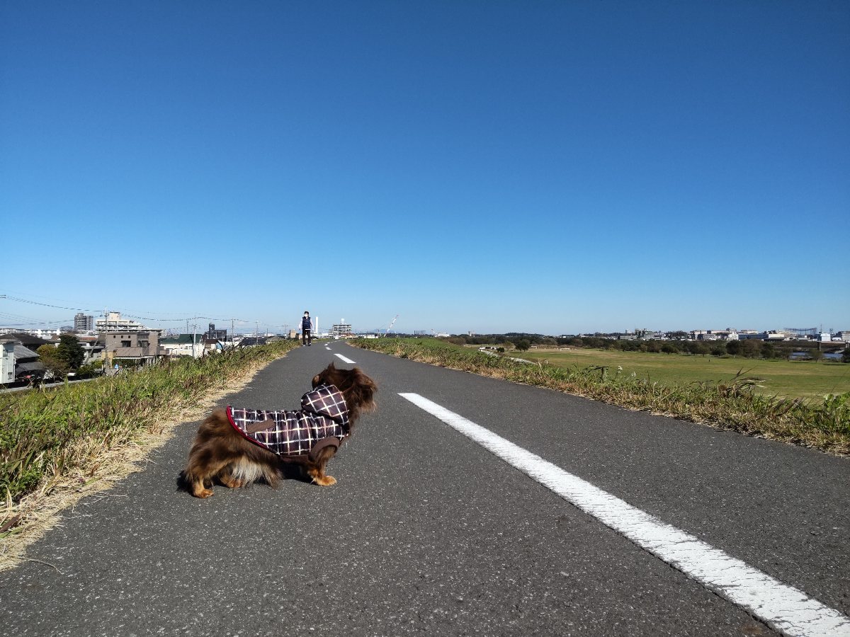 f:id:hirotaka72:20211128130007j:plain