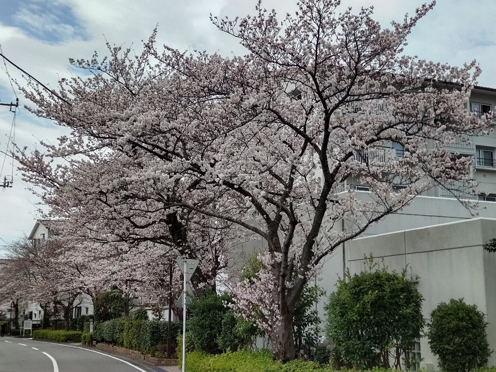 f:id:hirotaka72:20220327141237j:plain