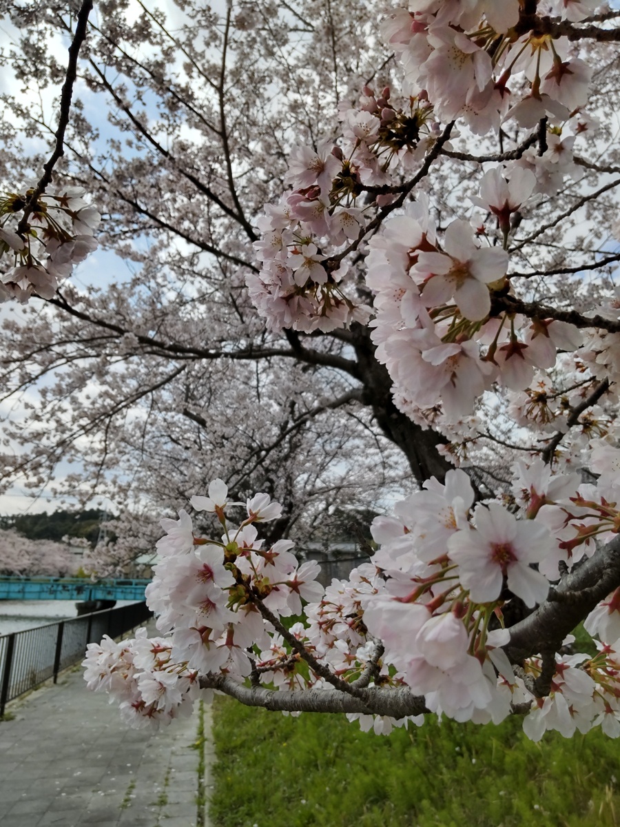 f:id:hirotaka72:20220402110403j:plain