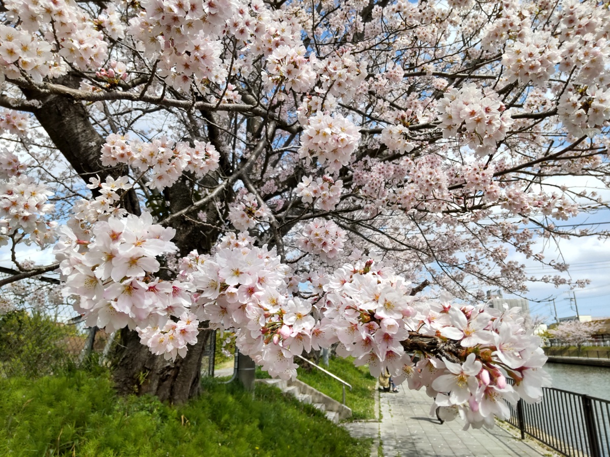 f:id:hirotaka72:20220402110714j:plain