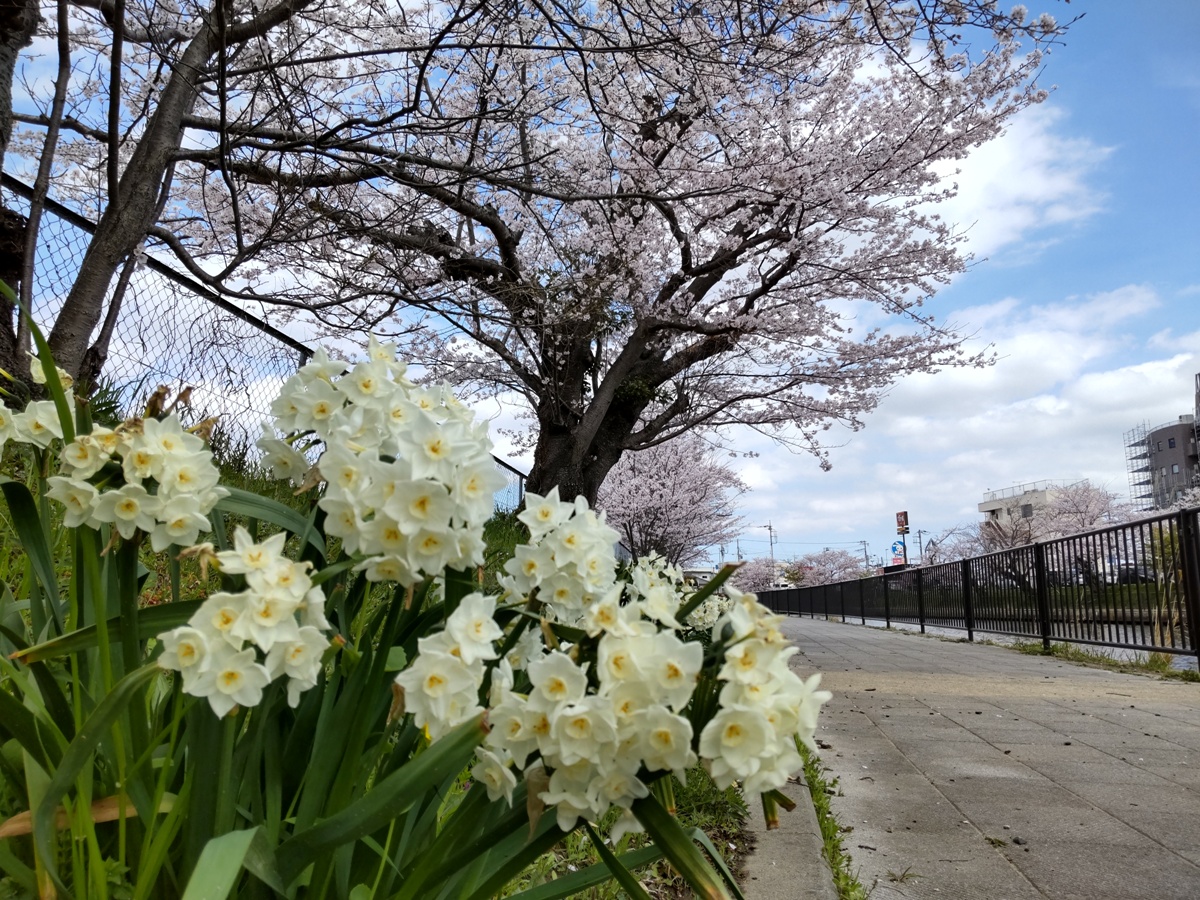 f:id:hirotaka72:20220402111640j:plain