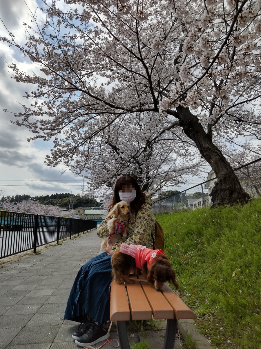 f:id:hirotaka72:20220403080104j:plain