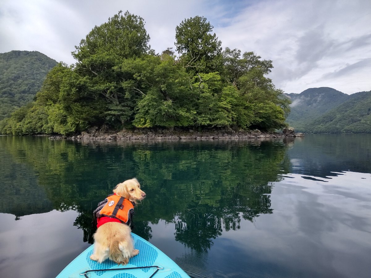 中禅寺湖sup 八丁出島 ｂ ｂ ｅ しりちんｃｌｕｂ