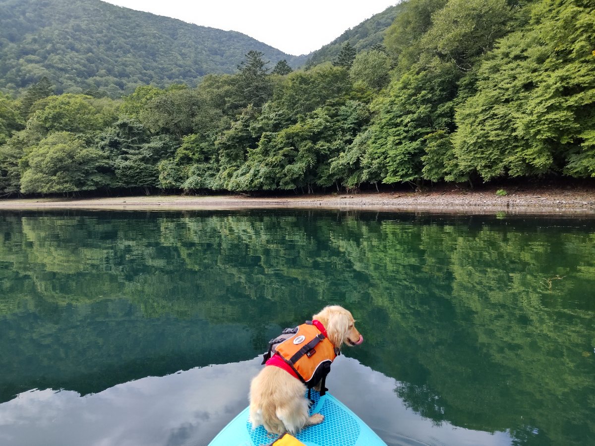 中禅寺湖sup 八丁出島 ｂ ｂ ｅ しりちんｃｌｕｂ
