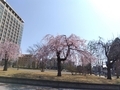 20250407184347