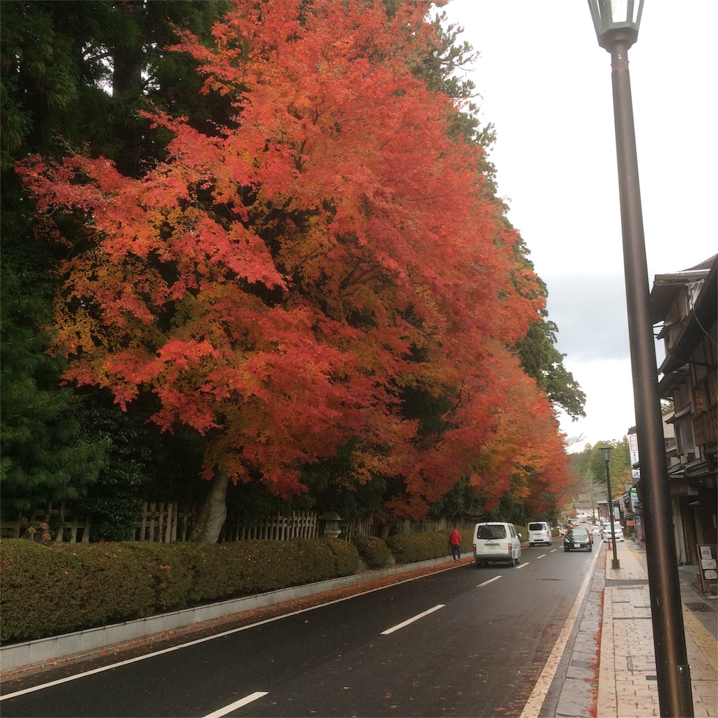 f:id:hirotaka_hachiya:20171119230904j:image