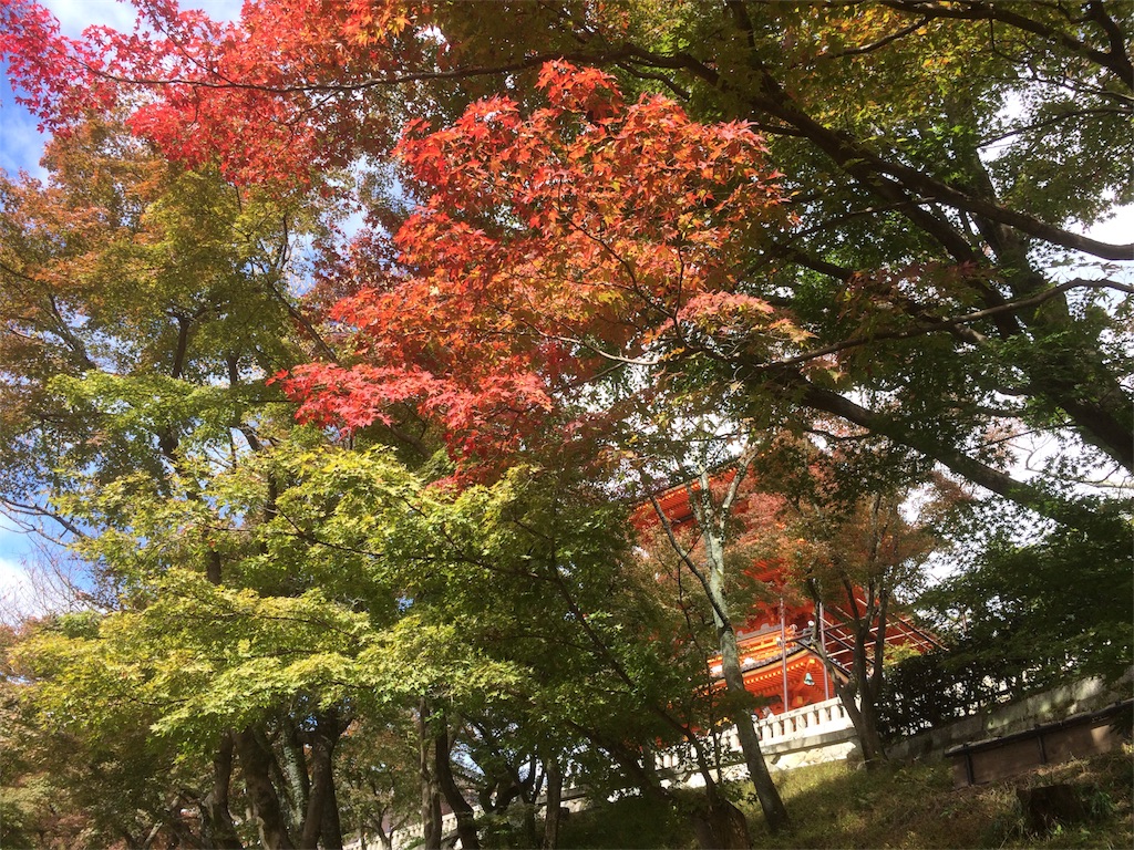 f:id:hirotaka_hachiya:20171119232954j:image