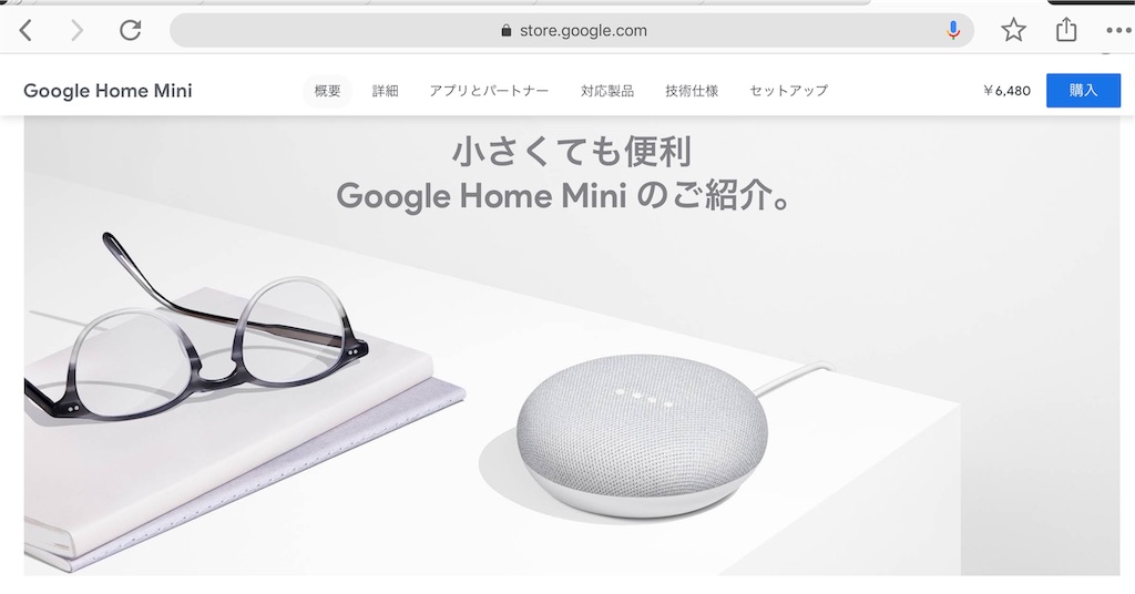 google home mini store