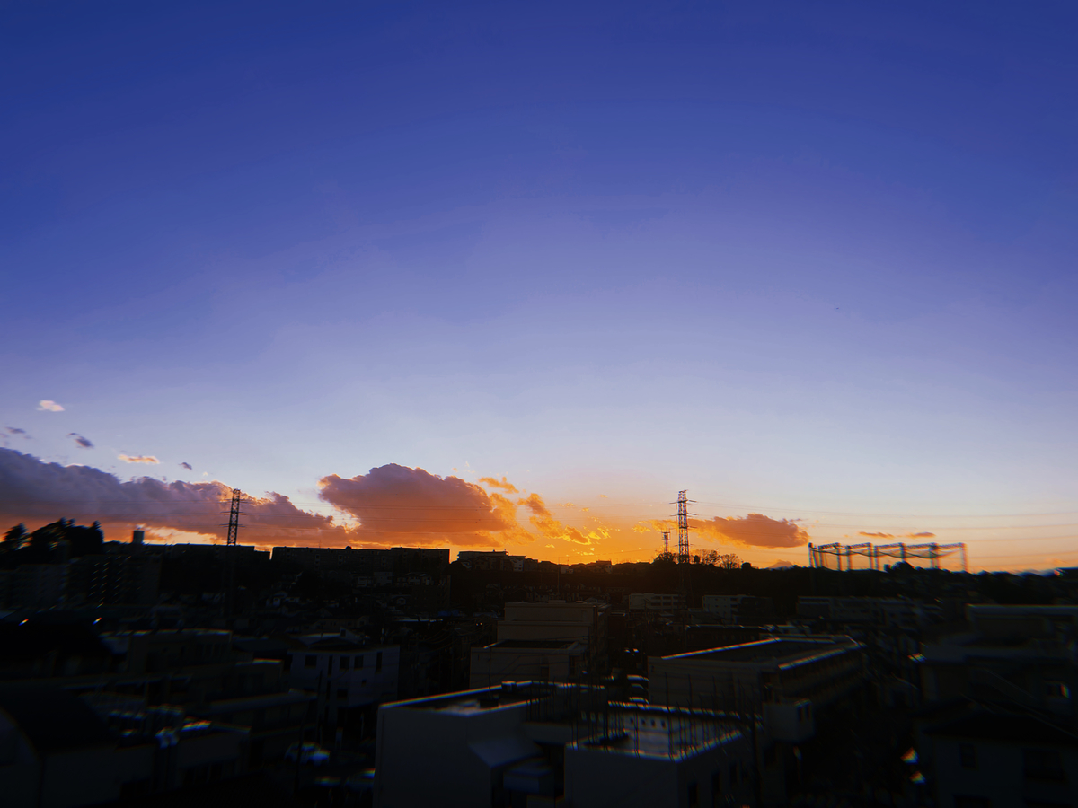 f:id:hirotaka_ikeda:20201231195318j:plain