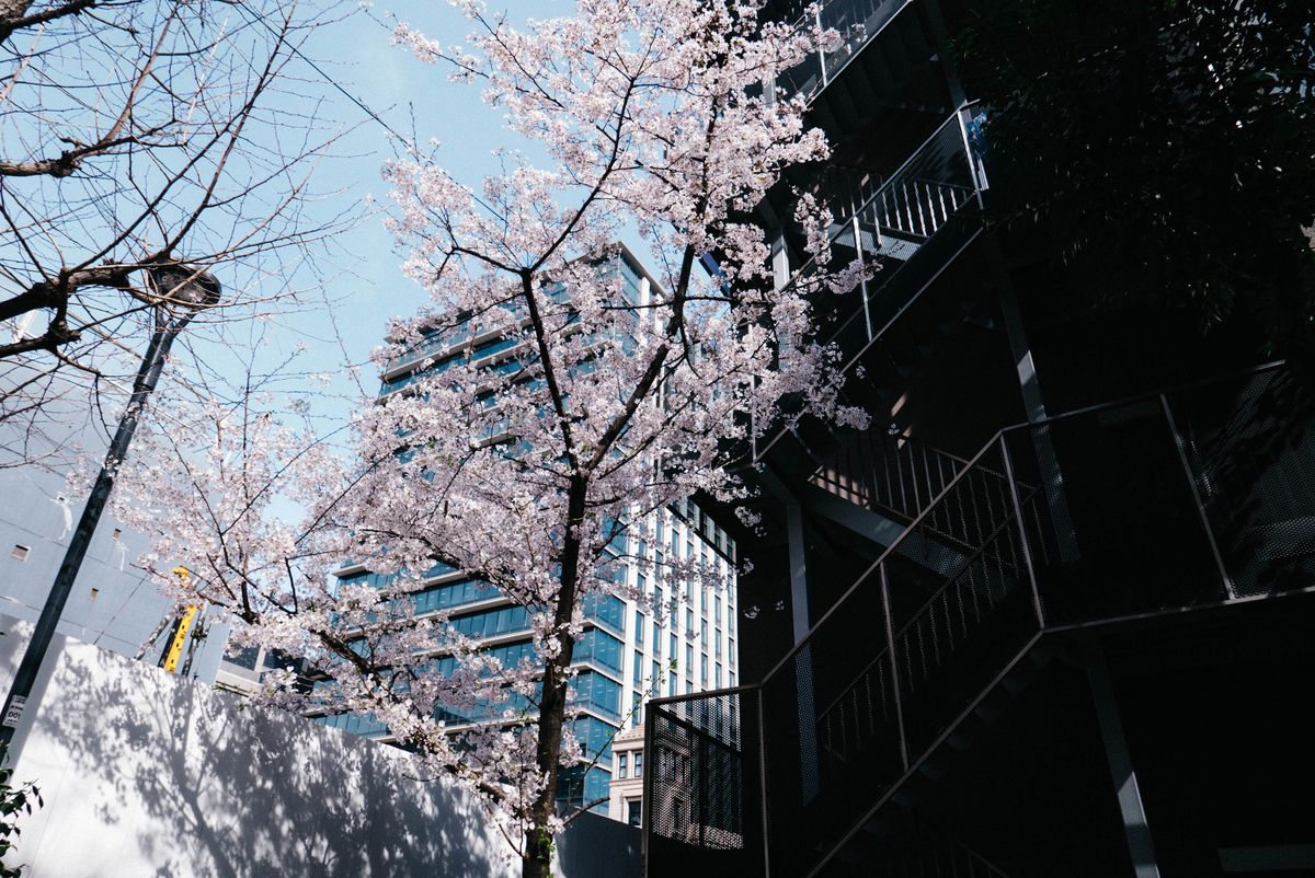 f:id:hirotaka_ikeda:20210429001625j:plain