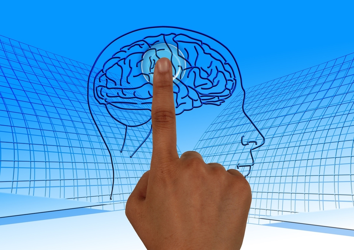 finger/brain