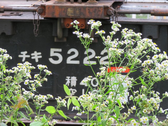 f:id:hiroto0124:20200708190838j:image