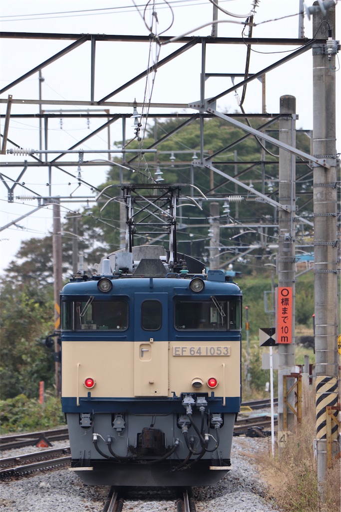 高揚木 刻 霊芝 昭和十年 置物 DT341