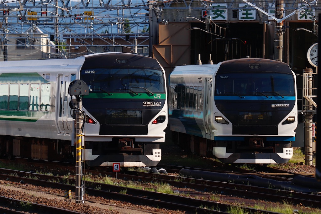 E257系2000番台 特急アルプス・臨時あずさ 84号 - 特急上高地回遊81号